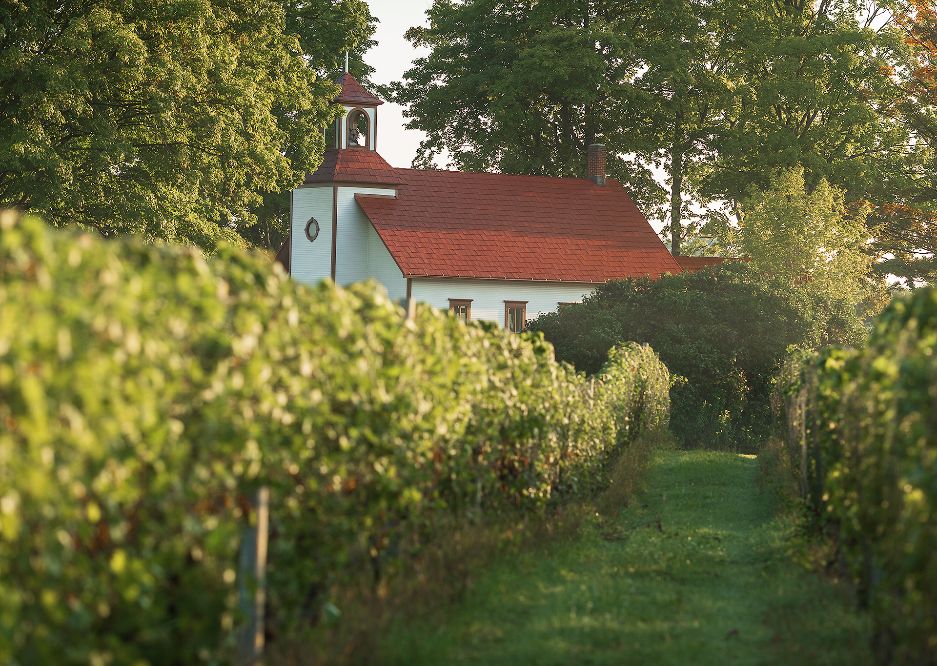 peninsula cellars tasting room