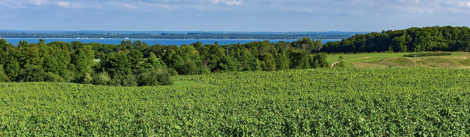 Wineries of Old Mission