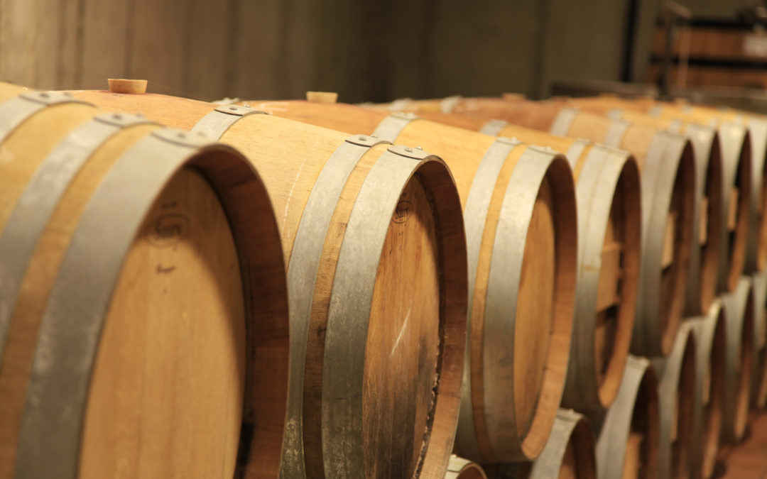 wine barrels in cellar