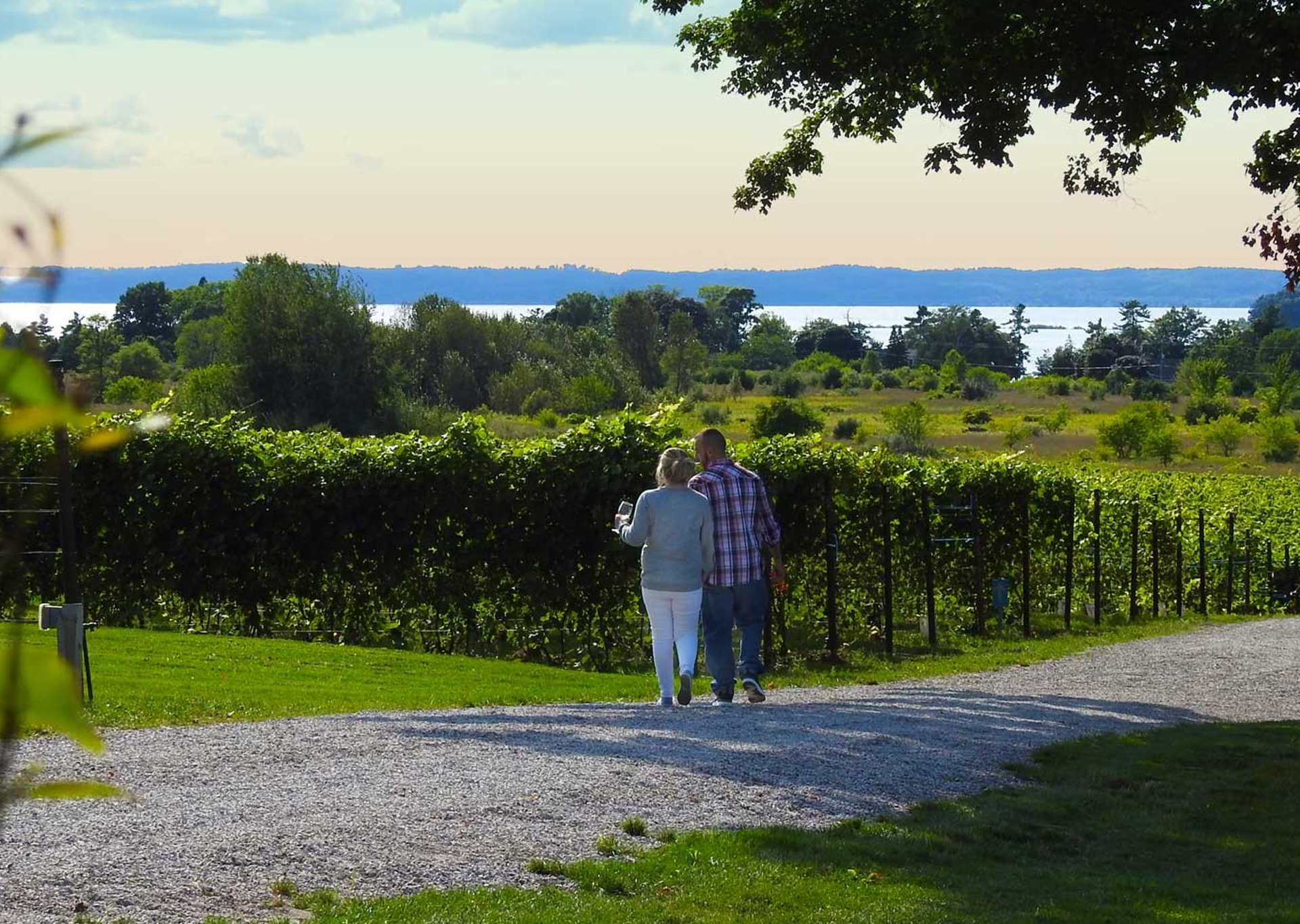 Bowers harbor winery 2025