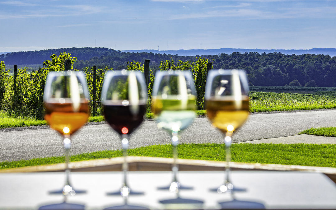 glasses of wine on vineyard overlook