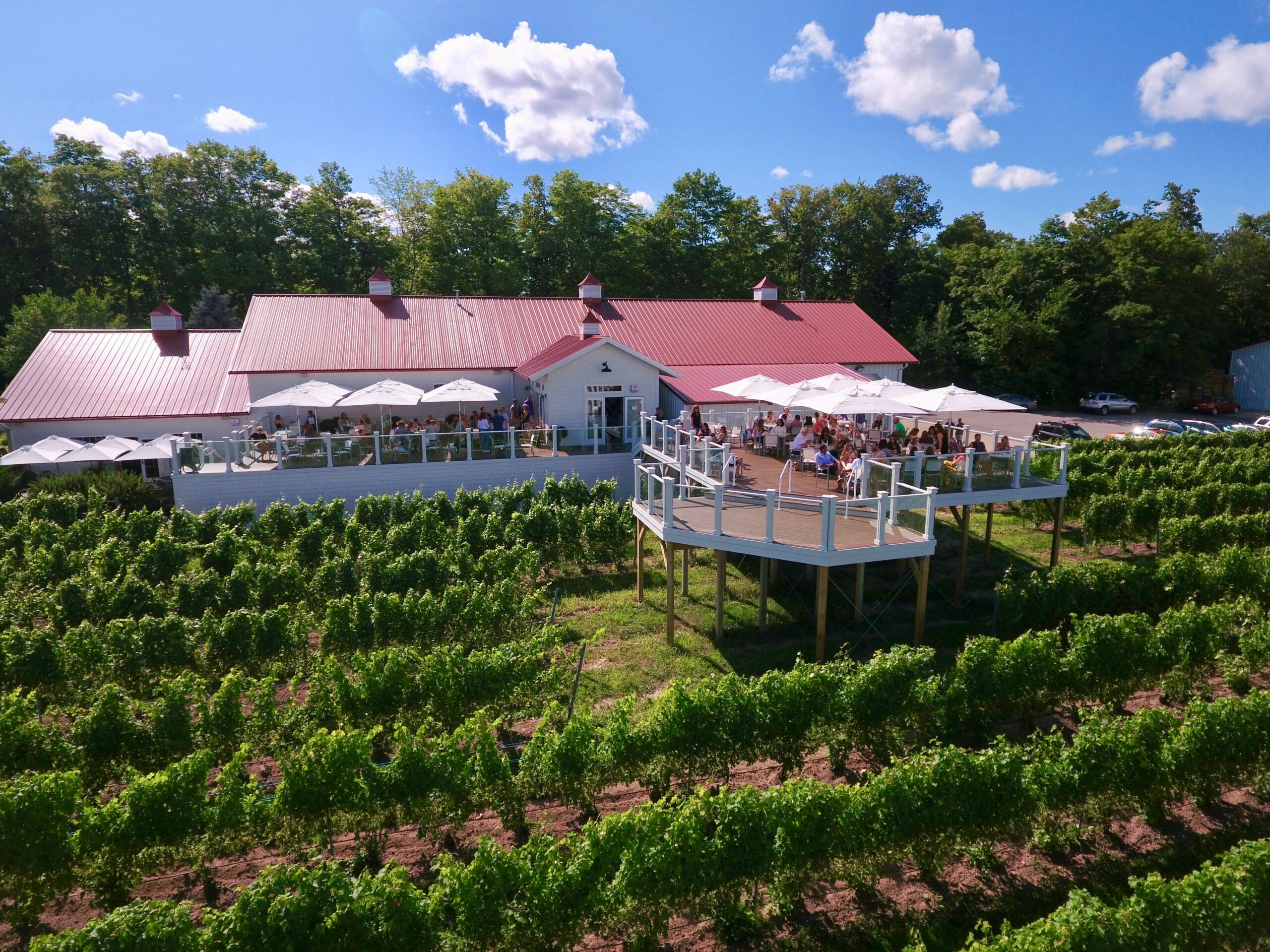 brys estate vineyard & winery tasting room